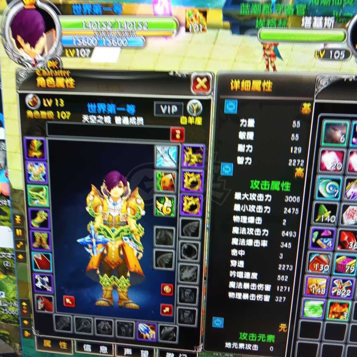 星尘传说-账号-[贤者 107级]雪舞