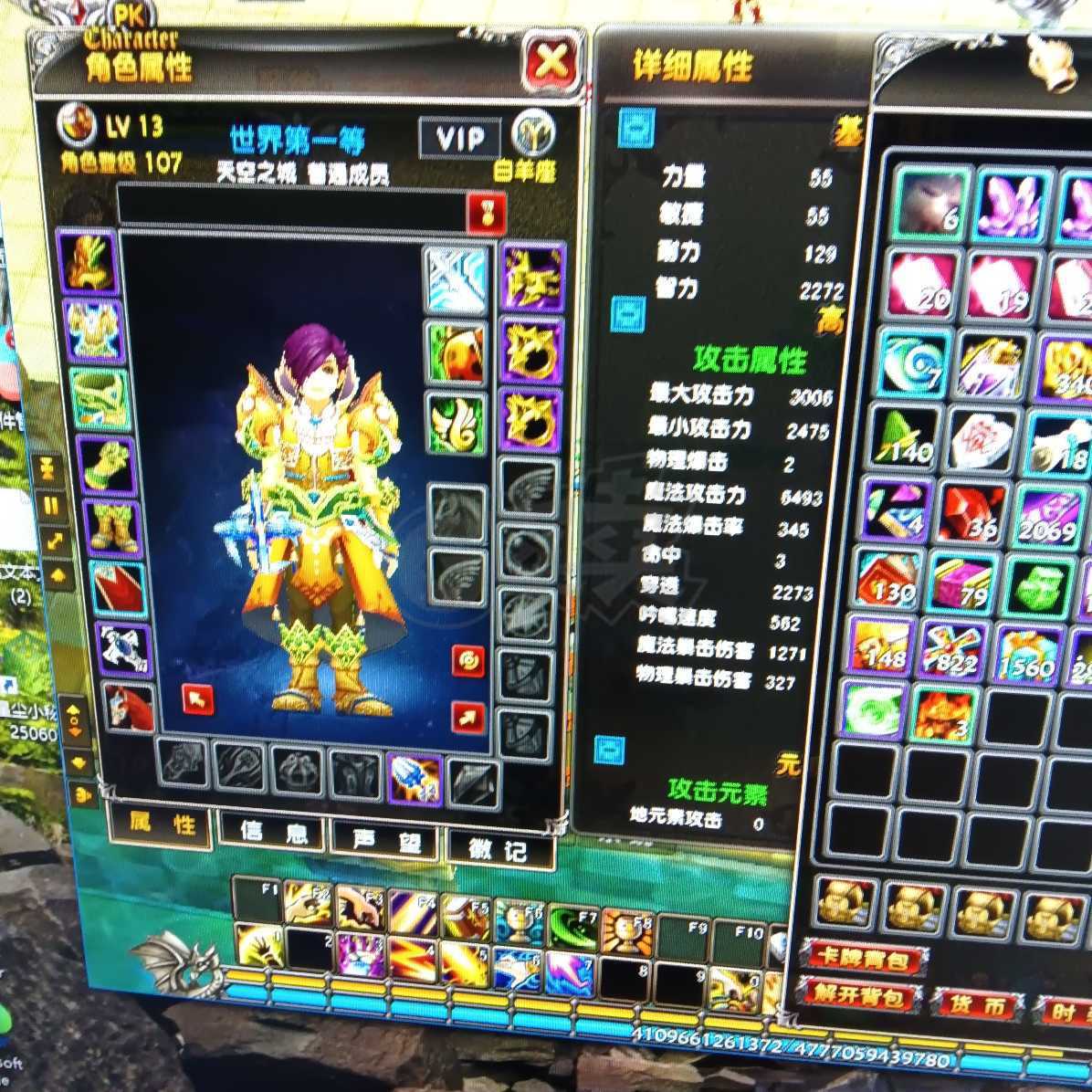 星尘传说-账号-[贤者 107级]雪舞