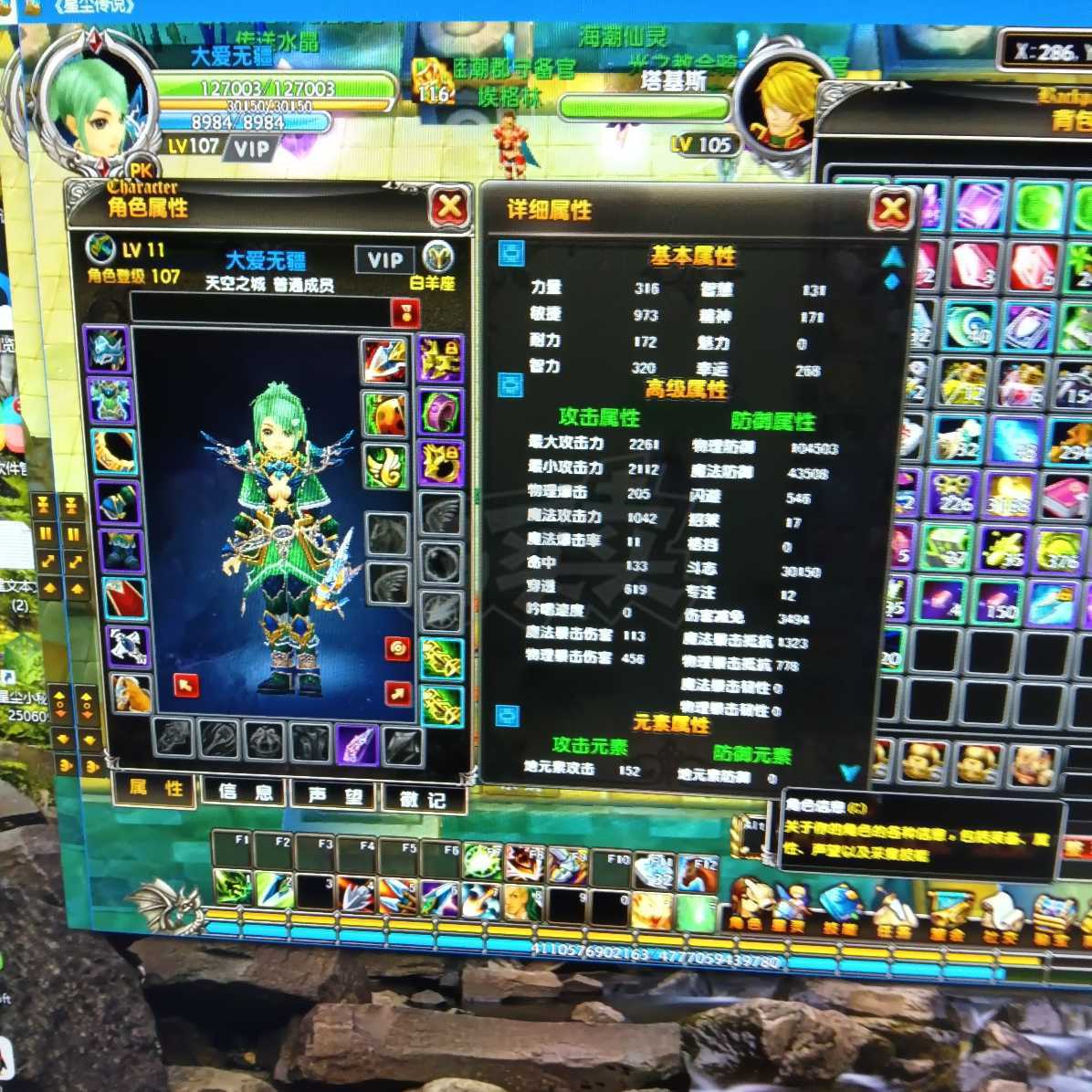 星尘传说-账号-[巡守 107级]雪舞