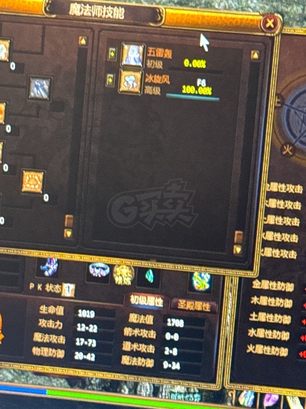 夺宝传世-账号-[法师 49级]3级会员，进度法师号，黄金镖车没停过，持续升级中