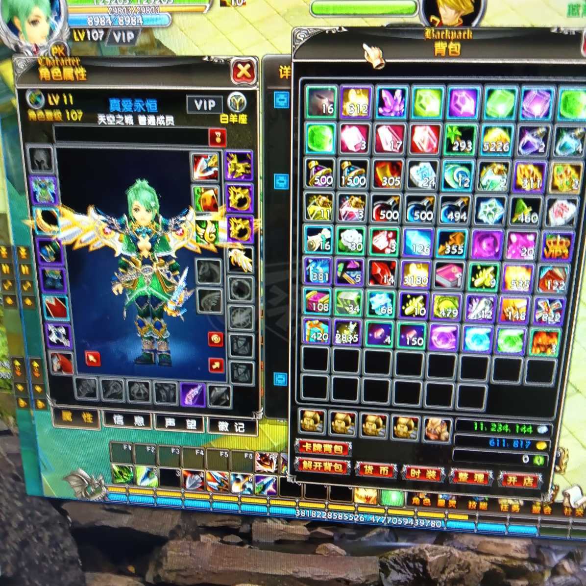 星尘传说-账号-[巡守 107级]雪舞