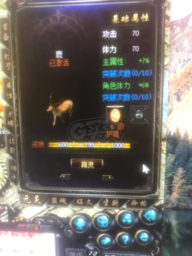 传奇归来-账号-[女 法师 999级]法师玉1074觉醒10介55满生肖*马60级图片上有的都有