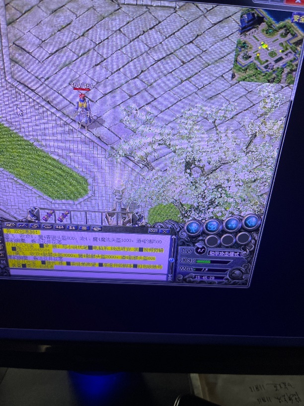 热血传奇1.76秒卡传承版-账号-[道士 45级]45女道