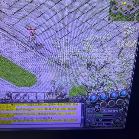 热血传奇1.76秒卡传承版-账号-[道士 45级]45女道