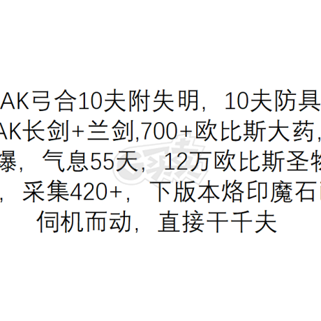 永恒之塔-账号-[弓星 50级]50级潜力弓星，14AK弓合10夫附失明，10夫防具全套13*10夫全套首饰，绝版时装