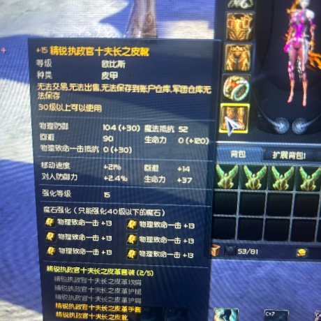 永恒之塔-账号-[弓星 30级]乾龙武器10加6pc，十夫鞋手15，十夫首饰差两耳环，近14万obs，61天气息，超值