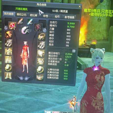 永恒之塔-账号-[精灵星 50级]裸增幅2234 蓝马攻速和龙洞强10