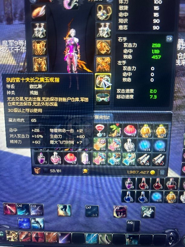 永恒之塔-账号-[弓星 30级]乾龙武器10加6pc，十夫鞋手15，十夫首饰差两耳环，近14万obs，61天气息，超值