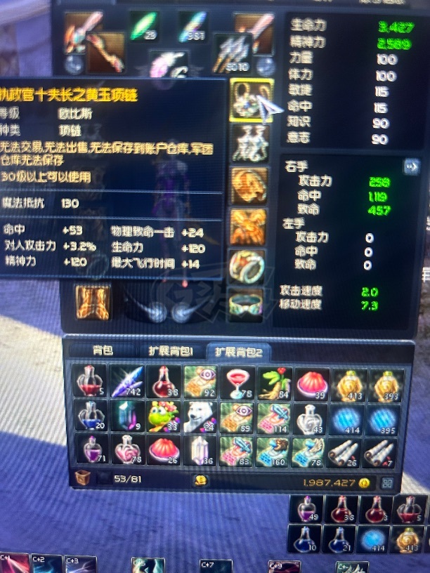 永恒之塔-账号-[弓星 30级]乾龙武器10加6pc，十夫鞋手15，十夫首饰差两耳环，近14万obs，61天气息，超值