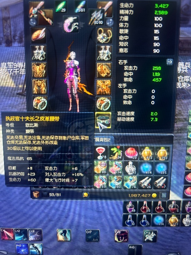 永恒之塔-账号-[弓星 30级]乾龙武器10加6pc，十夫鞋手15，十夫首饰差两耳环，近14万obs，61天气息，超值