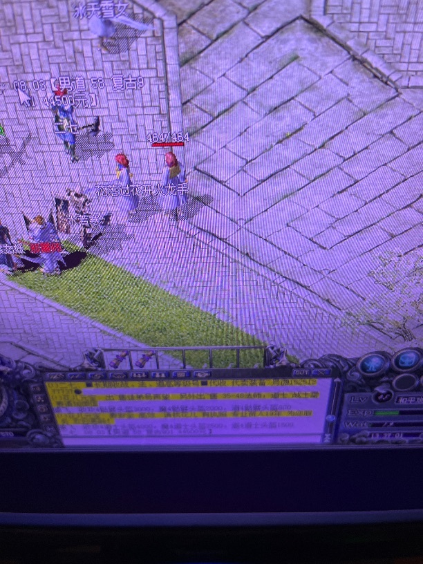 热血传奇1.76秒卡传承版-账号-[道士 45级]45女道