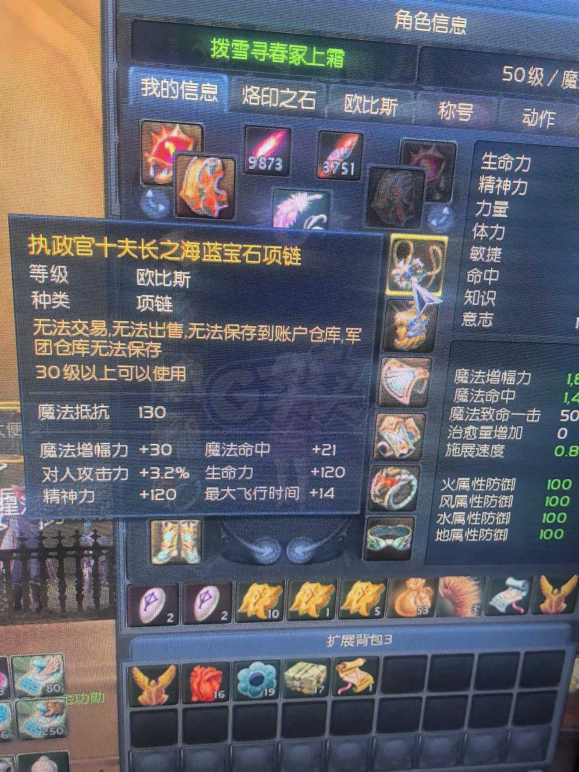 永恒之塔-账号-[魔道星 50级]气息120天铁耙套10十夫套12