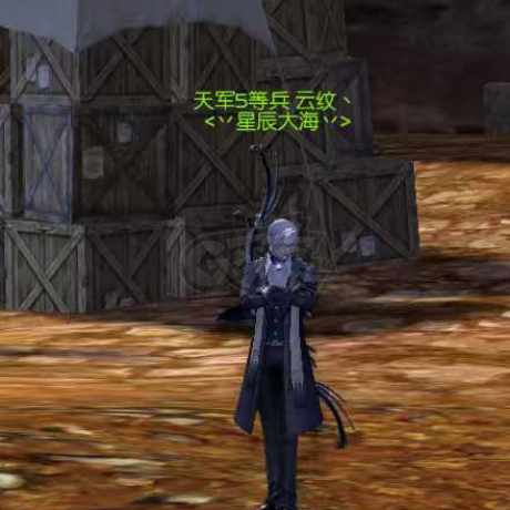 永恒之塔-账号-[弓星 50级]*11天本弓  T8套防具   天本首饰两套