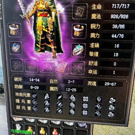 传奇3(时长版)-账号-[道士 55级]7级狗炸谁谁死