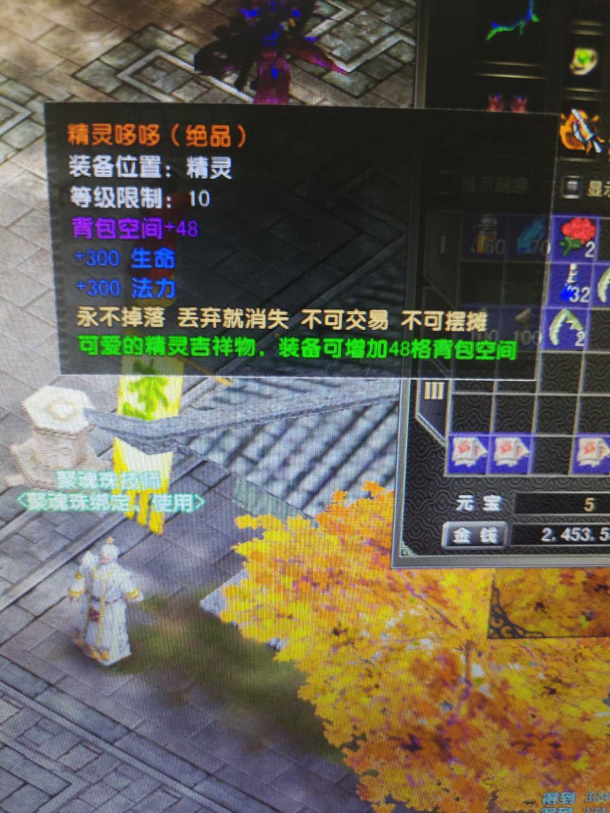 风云怀旧服-账号-[猎手 炼气期*1阶]83.7级全身套MM，入手即玩，持续升级中。