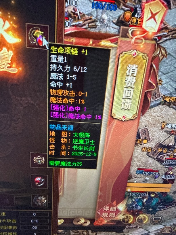 传奇世界-账号-[法师 40级]冰盾法 重点是五级豹子技能