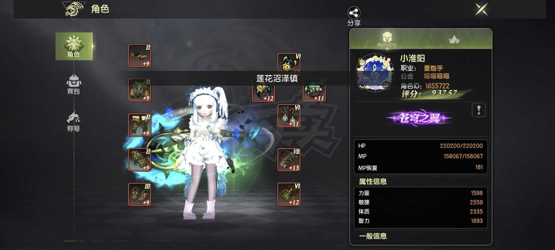 龙之谷世界-账号-[重炮手 50级]自己看图