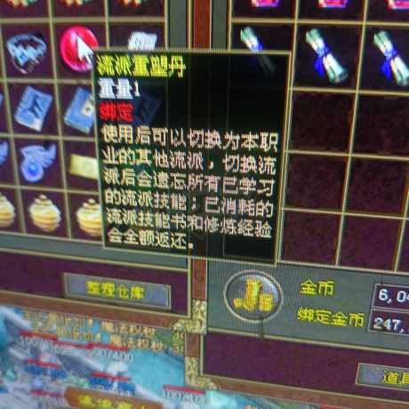 传奇世界-账号-[战士 44级]49级了