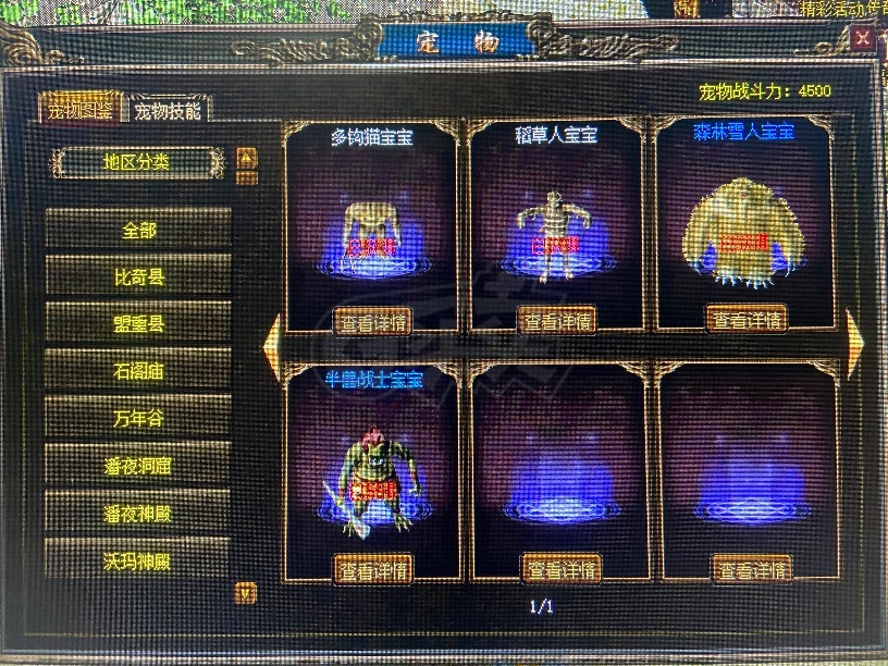 传奇3-账号-[道士 49级]美女精品道士   内涵好