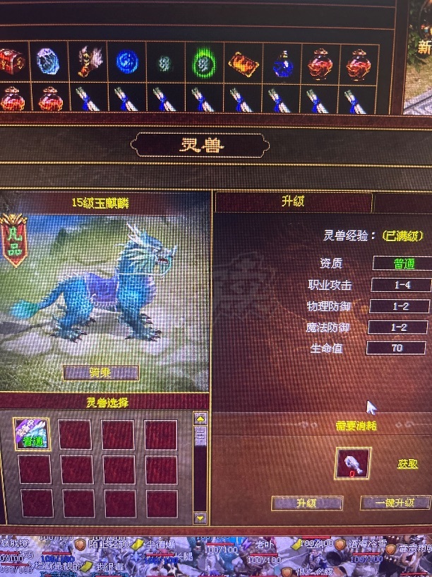 传奇世界-账号-[战士 40级]41战狂，还有好多宠物和物资，买到就是赚