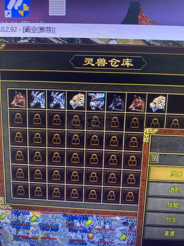 传奇世界-账号-[战士 40级]41战狂，还有好多宠物和物资，买到就是赚