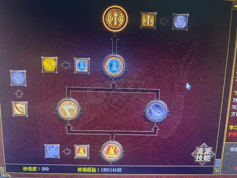 传奇世界-账号-[战士 40级]41战狂，还有好多宠物和物资，买到就是赚