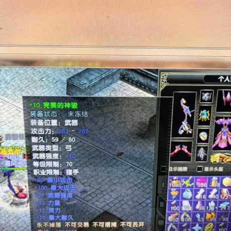 风云怀旧服-账号-[猎手 融合期*5阶]78级 极品属性