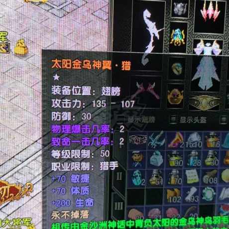 风云怀旧服-账号-[猎手 融合期*5阶]满级猎手