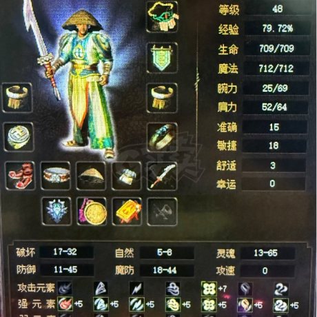 传奇3-账号-[道士 48级]出售48.8级男道士