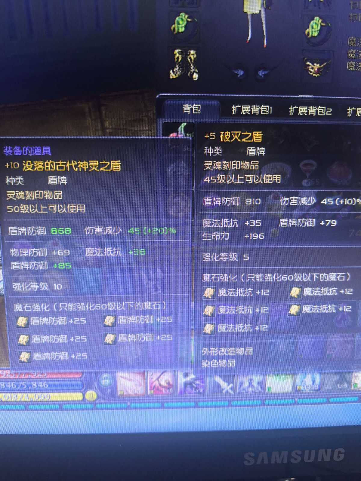 永恒之塔-账号-[护法星 50级]精十11 盾防，蓝马杖 10*1880，龙本魔抗套，季卡刚充