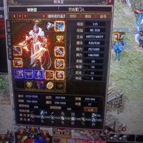 传奇3-账号-[刺客 115级]八转快116级刺客，可玩可养老，一手号