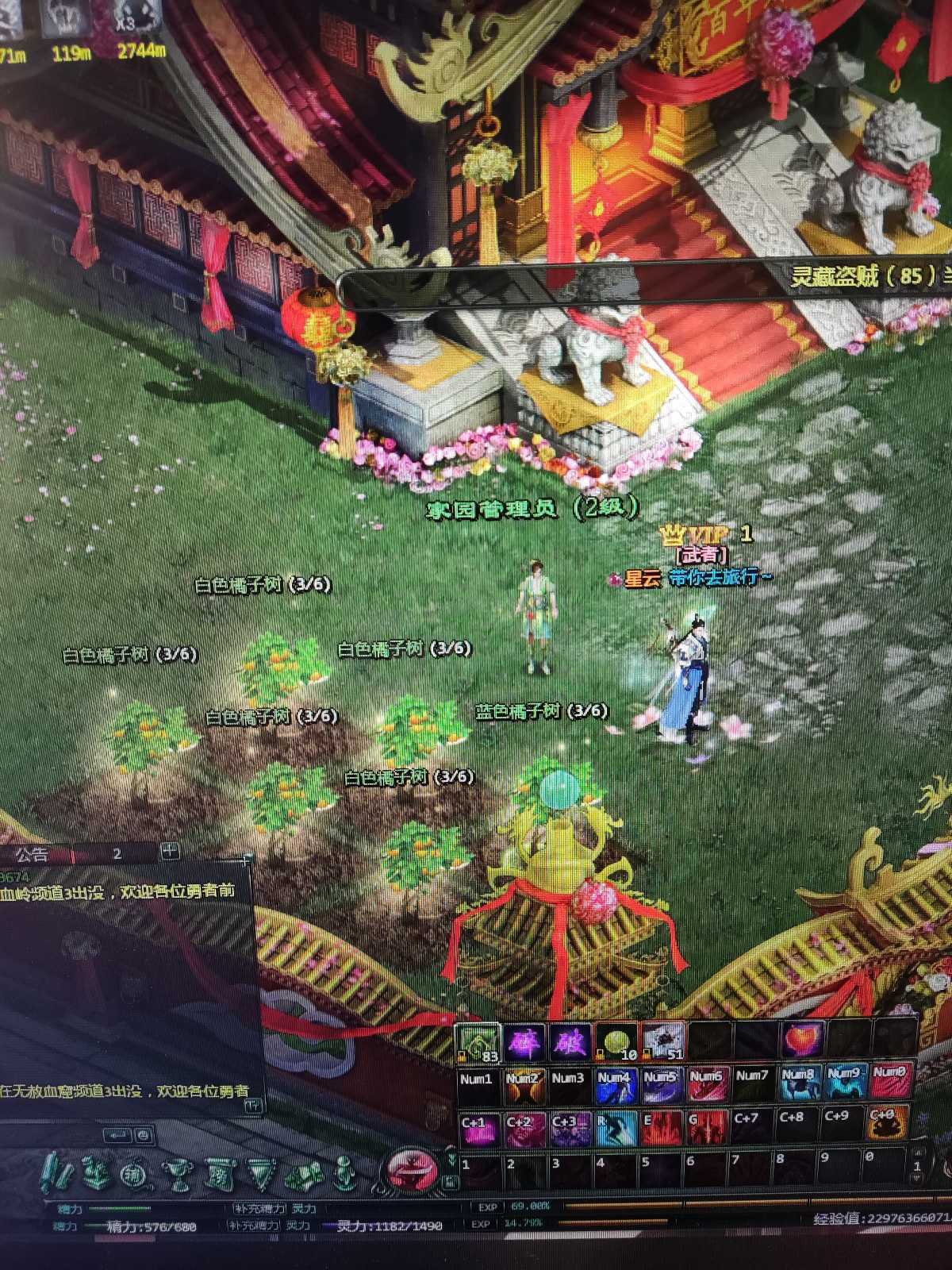 星辰变-账号-[血魔 95级] 号太多 玩不过来 有情侣家园