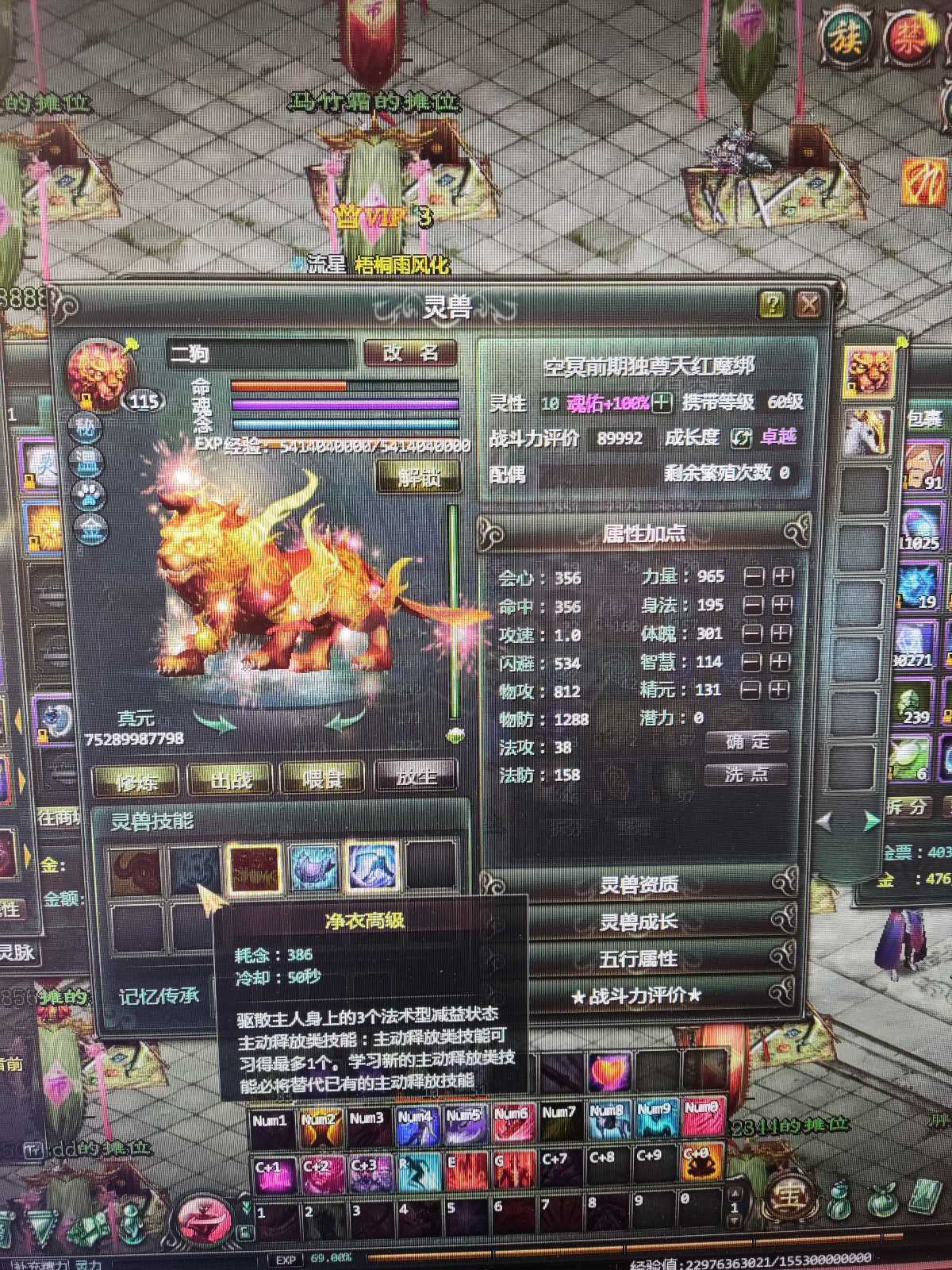 星辰变-账号-[血魔 95级] 号太多 玩不过来 有情侣家园