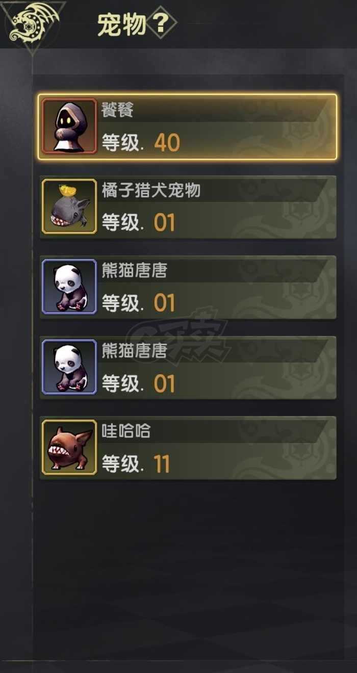 龙之谷世界-账号-[圣徒 50级]4s首饰圣徒，万氪l宠