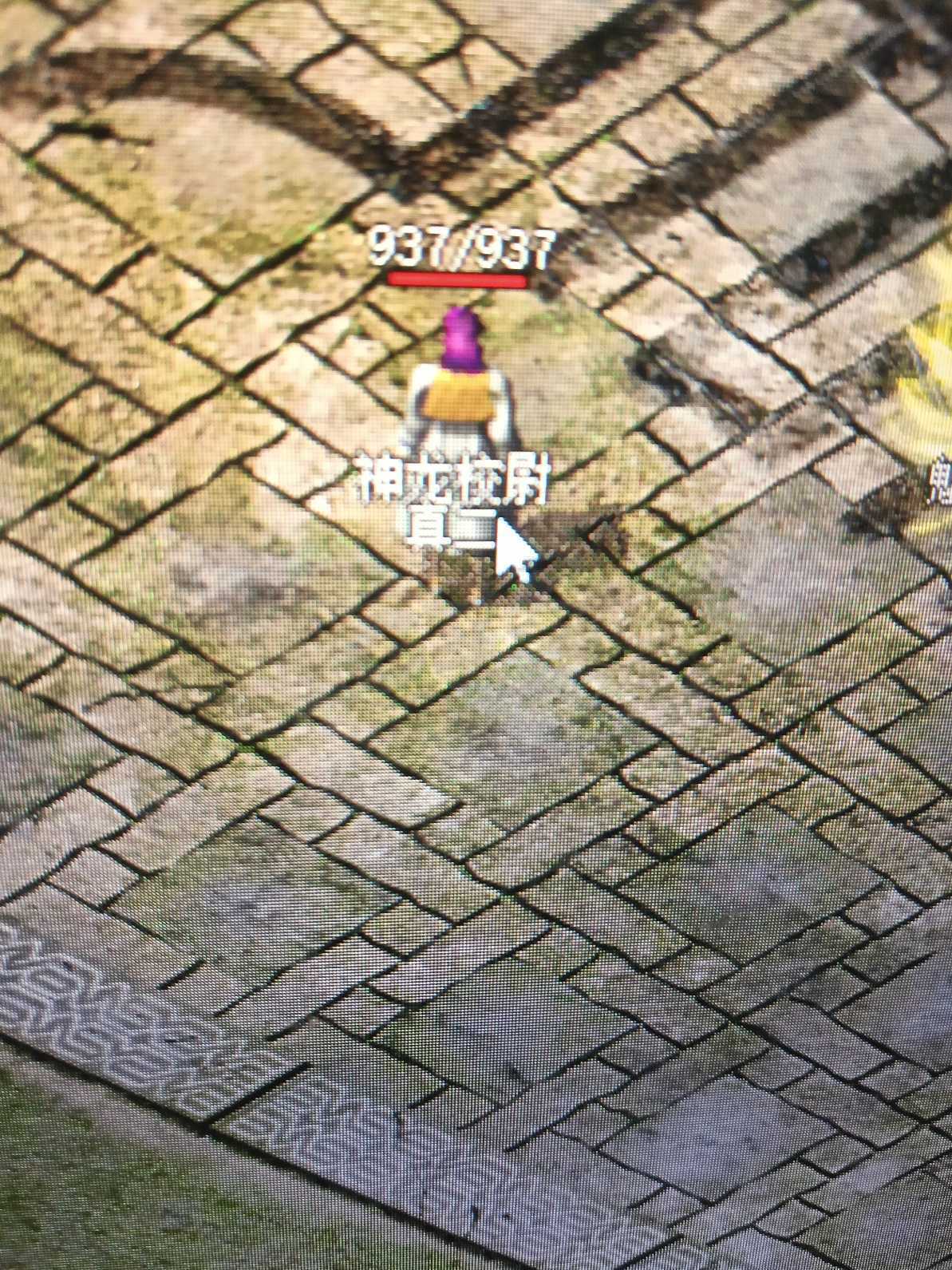 热血传奇怀旧版-账号-[道士 67级]任务20*20*20*毒5，神龙校尉