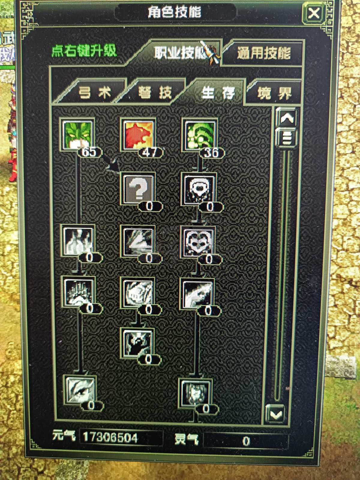 风云怀旧服-账号-[猎手 炼气期*1阶]凌风60猎手号