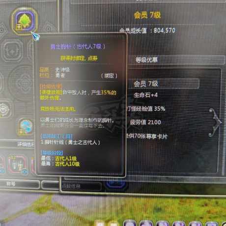 龙之谷-账号-[雷神 100级]V7回归帅牧 7级古代胸针