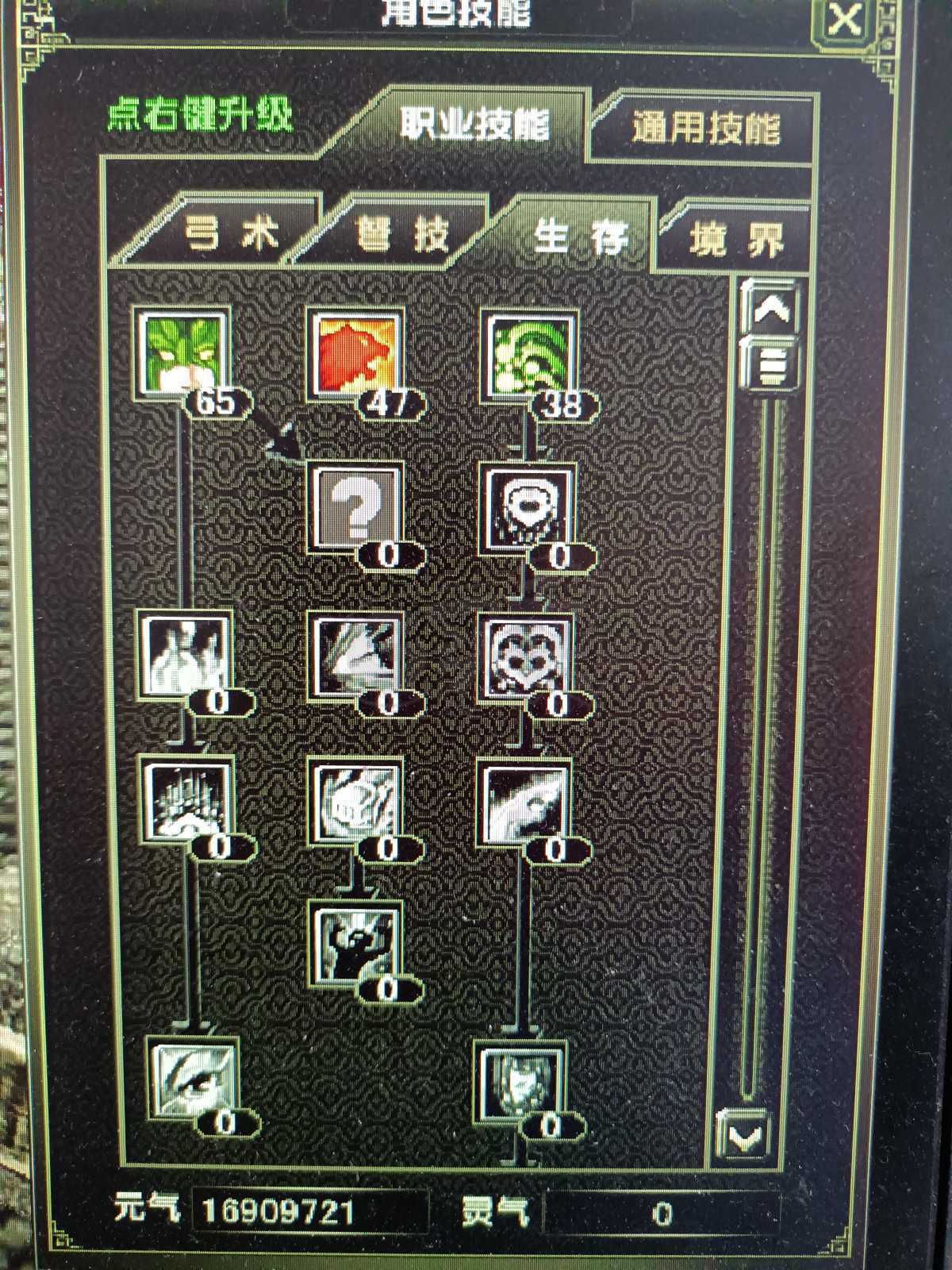 风云怀旧服-账号-[猎手 炼气期*1阶]凌风60猎手