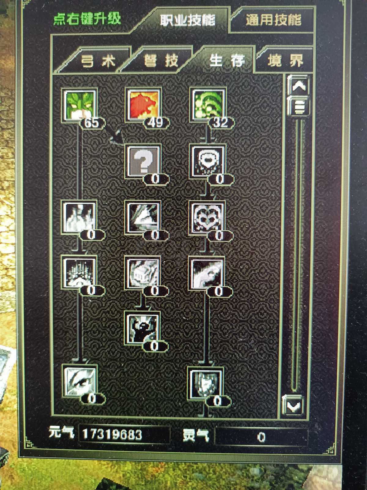 风云怀旧服-账号-[猎手 炼气期*1阶]凌风60猎手元气号