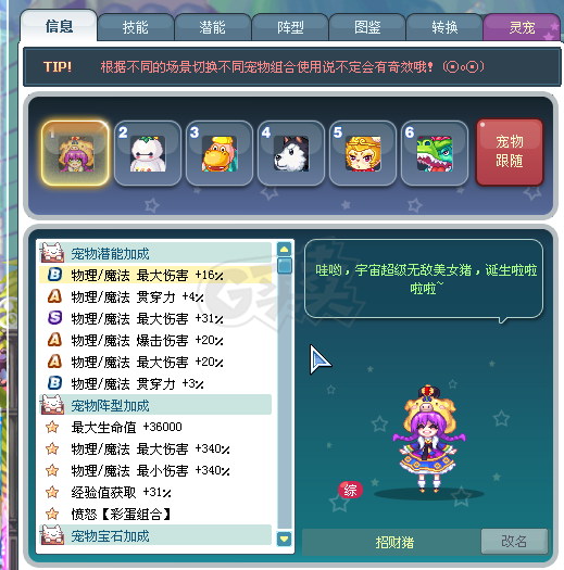 彩虹岛-账号-[剑圣 300级]全装狗4 女巫 鞋子手套转移包里所有材料东西 都不拿