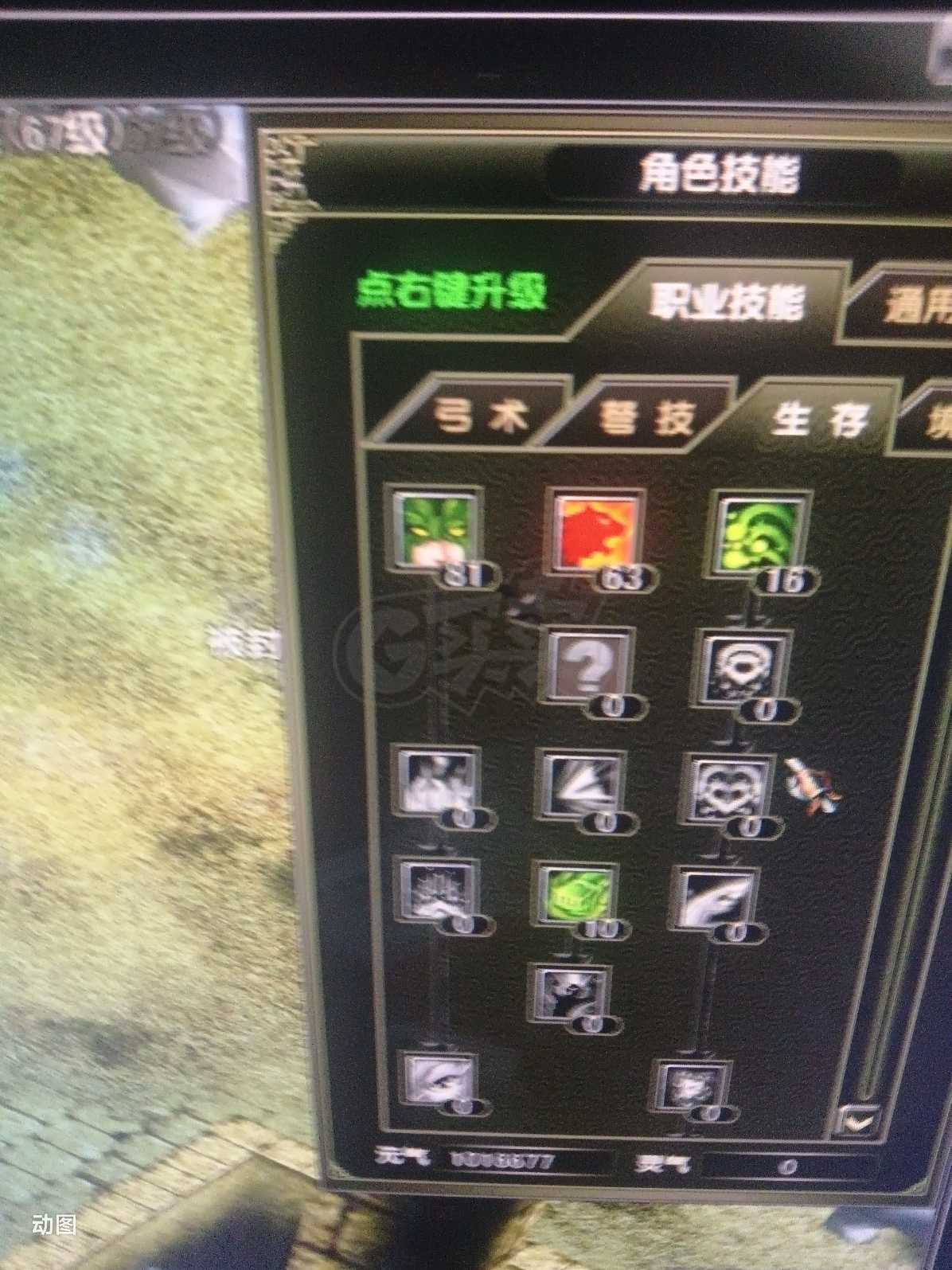 风云怀旧服-账号-[猎手 炼气期*1阶]66级