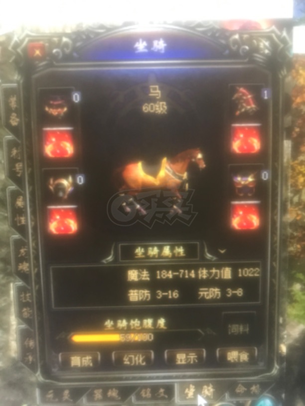 传奇归来-账号-[女 法师 999级]法师玉1085觉醒10介55满生肖*马63级图片上有的都有