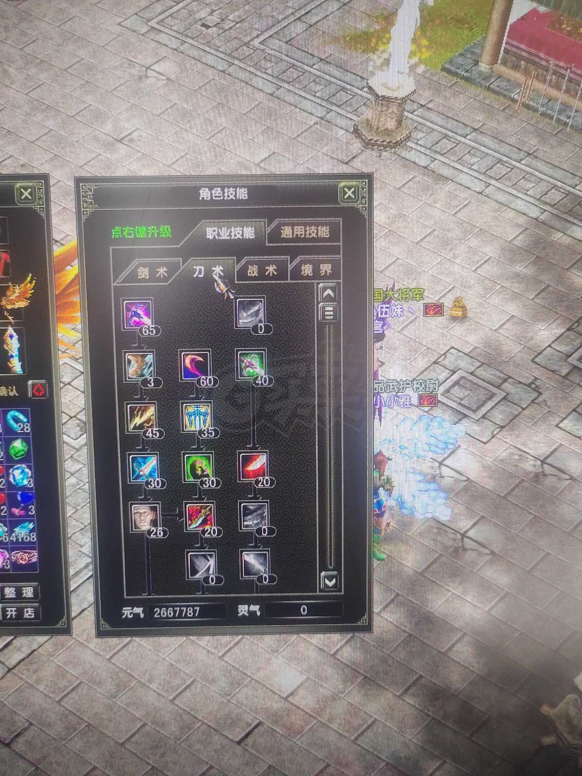 风云怀旧服-账号-[战士 炼气期*1阶]炎天88.5级战士