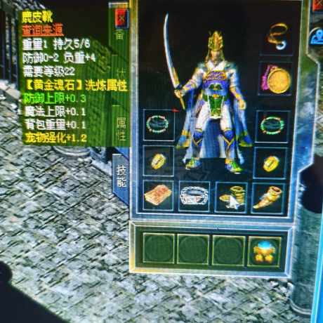 传奇新百区-盟重神兵-账号-[道士 46级]宠物金狗有裁决