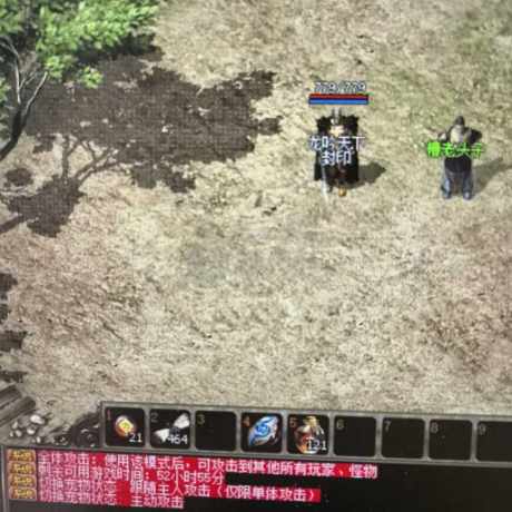 传奇3(时长版)-账号-[道士 57级]买了不会玩，亏本出