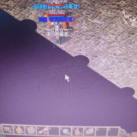 传奇3-账号-[道士 45级]开区每天都做完任务，两个秀都有