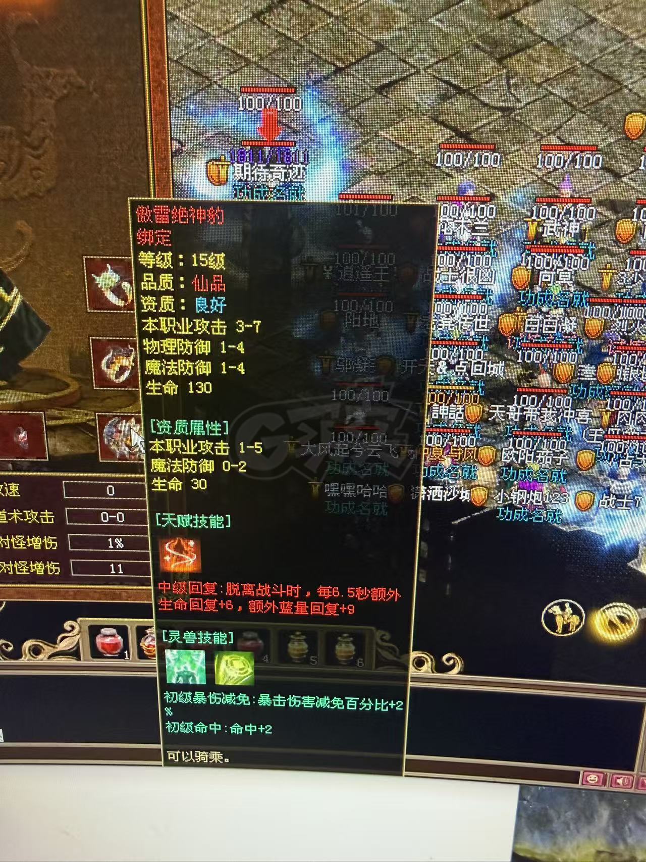 传奇世界-账号-[战士 50级]满级狂战 5级豹子 加3套差两个铜锤 圣头 手镯 腰带 修炼2600多