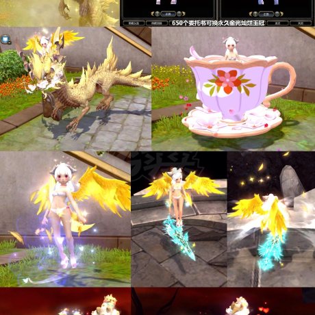 龙之谷-账号-[银色猎人 100级]金冠王冠 快双狂暴V8双附魔双银龙11特武31套时装