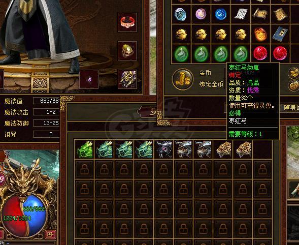 传奇世界-账号-[道士 49级]医圣 麒麟  4阶幽冥豹 圣麒麟 玉麒麟等