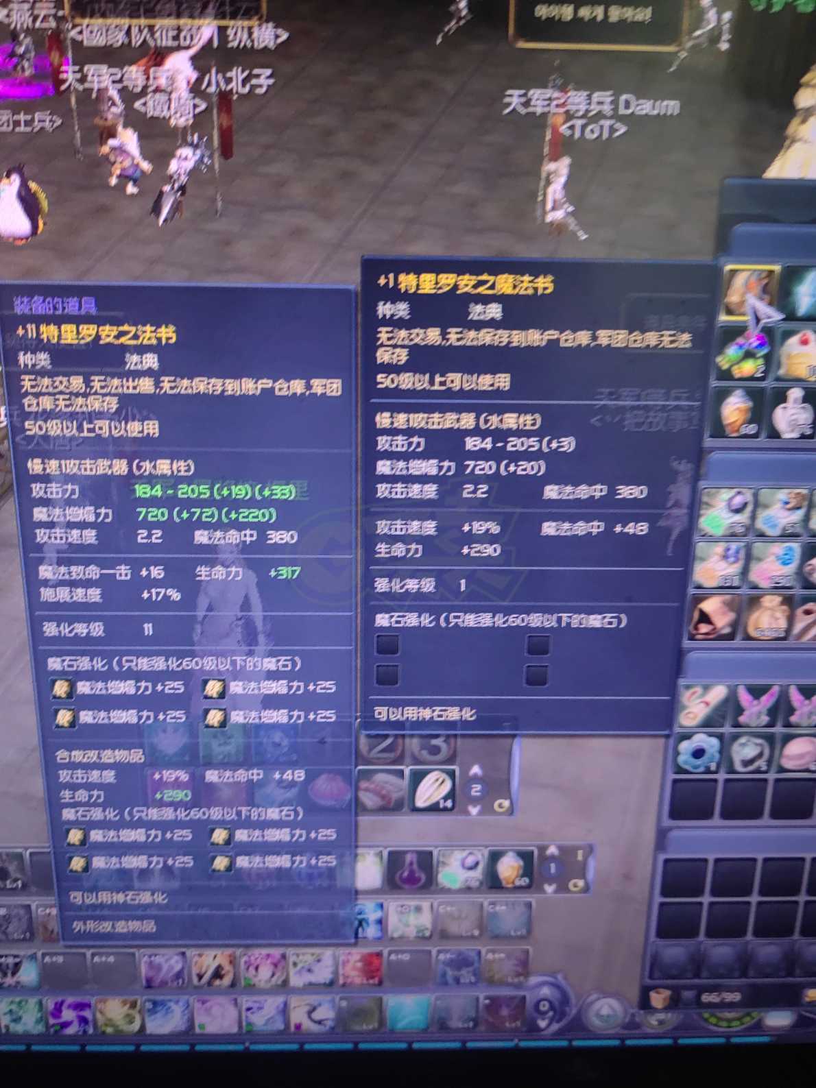 永恒之塔-账号-[精灵星 50级]54万欧比斯，麻痹神石，黑本套，料理采集双达人